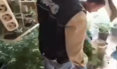 SALİHLİ'DE UYUŞTURUCU OPERASYONU